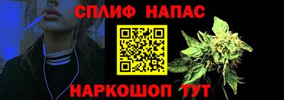 стаф Краснодар